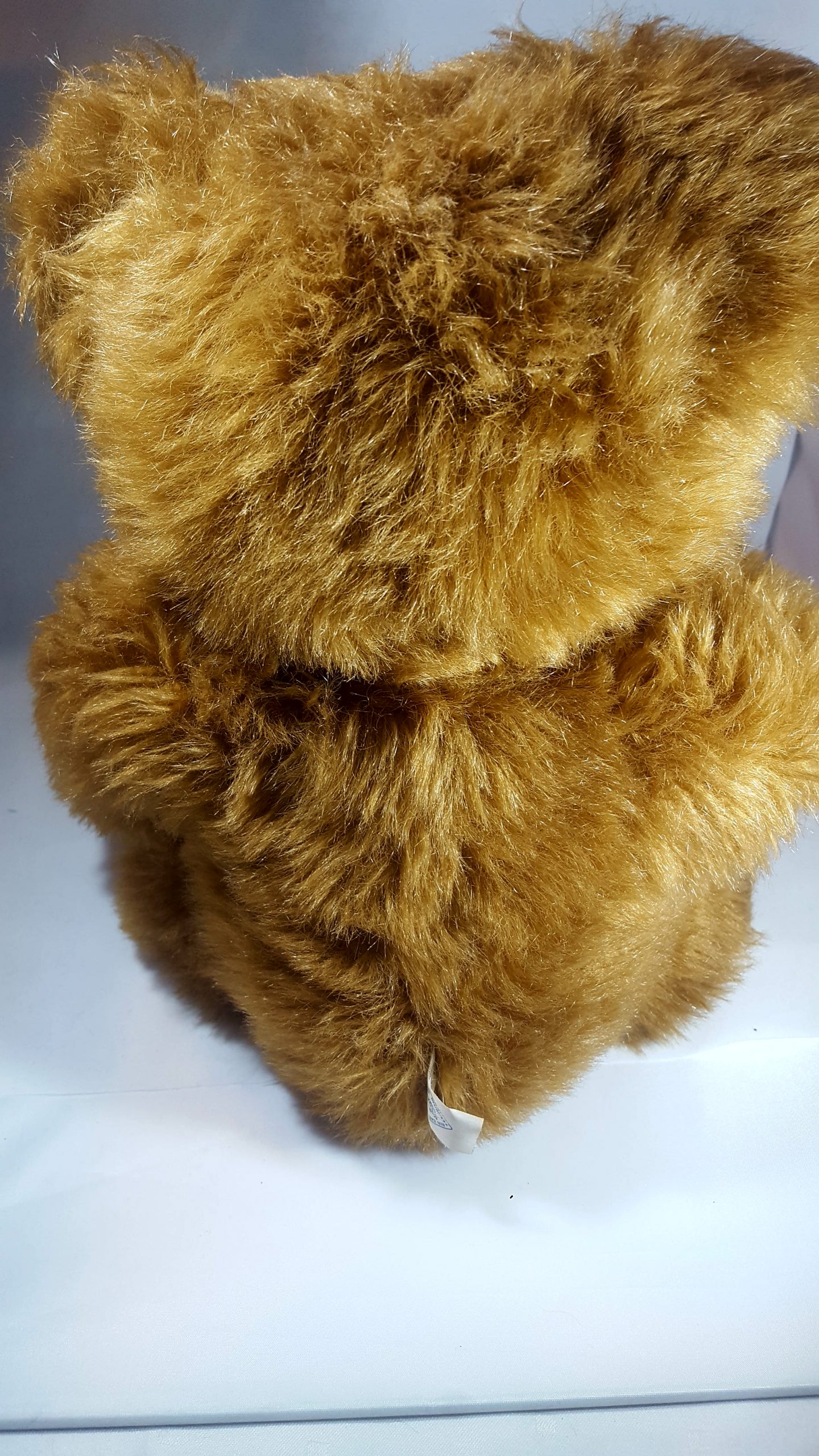 Antik Teddy Beer (2)