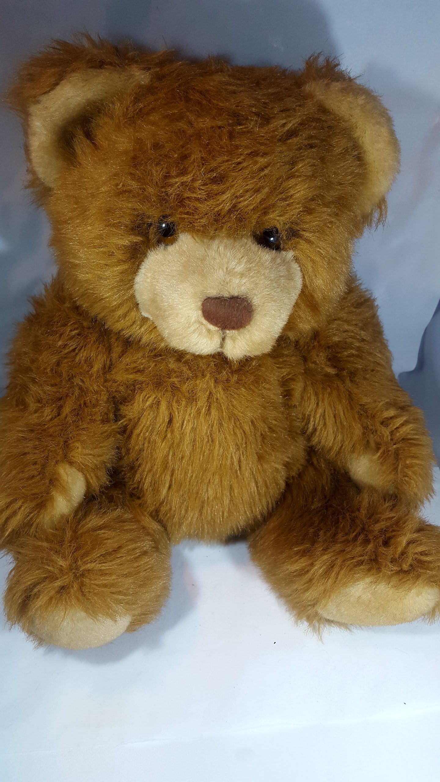 Antik Teddy Beer (4)