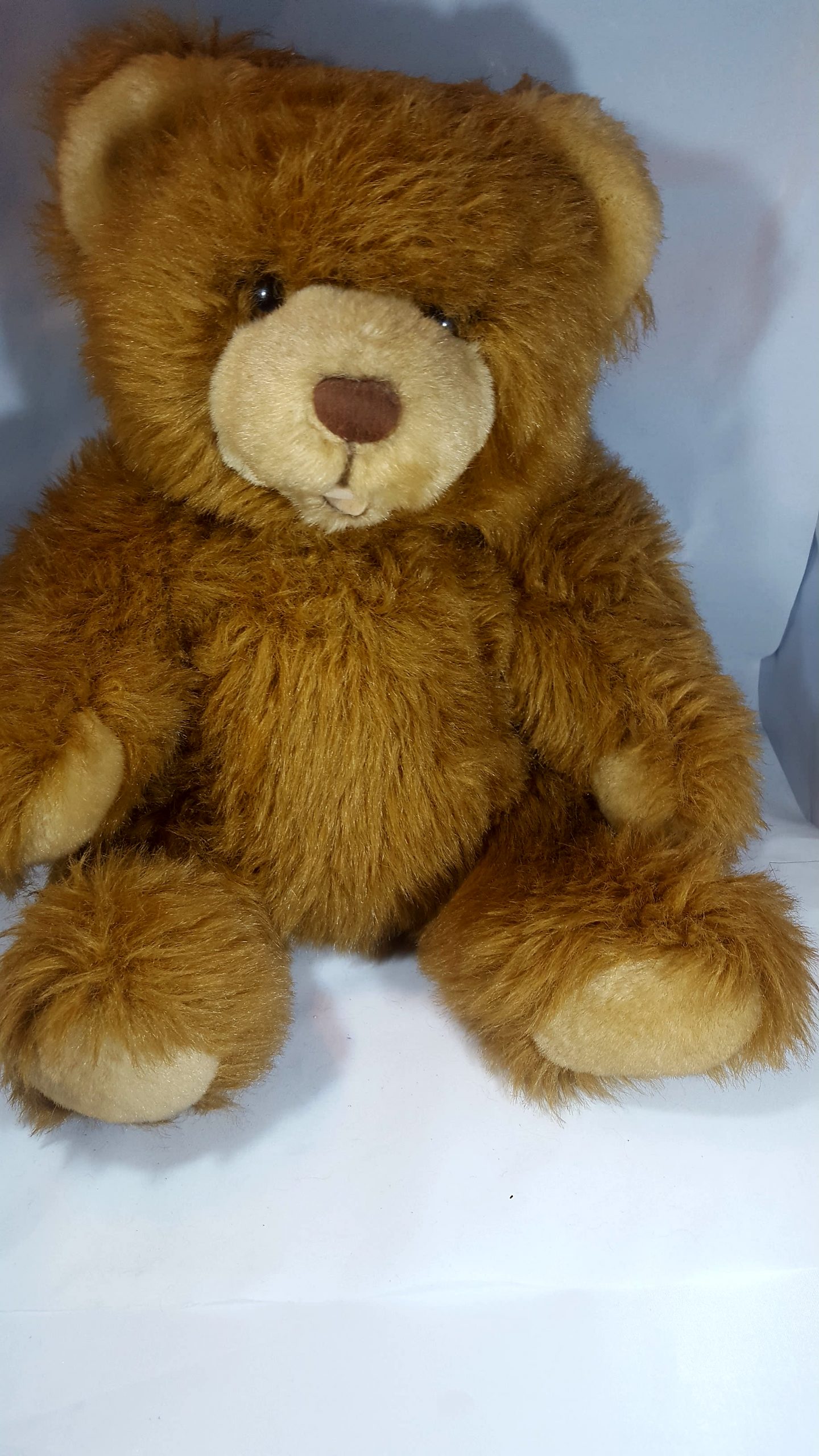 Antik Teddy Beer (6)