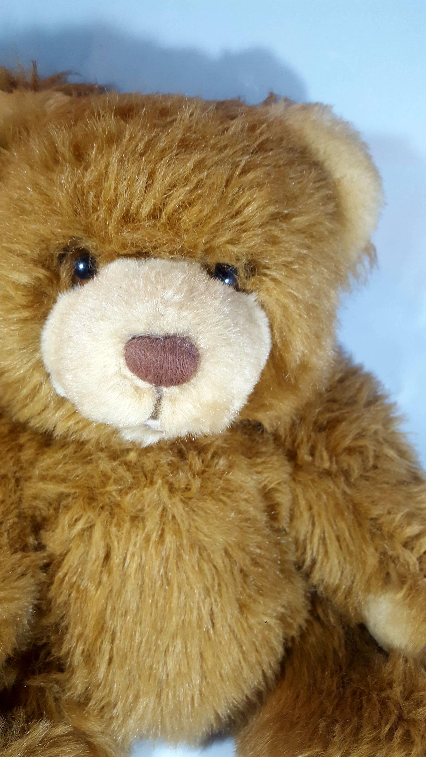 Antik Teddy Beer (7)