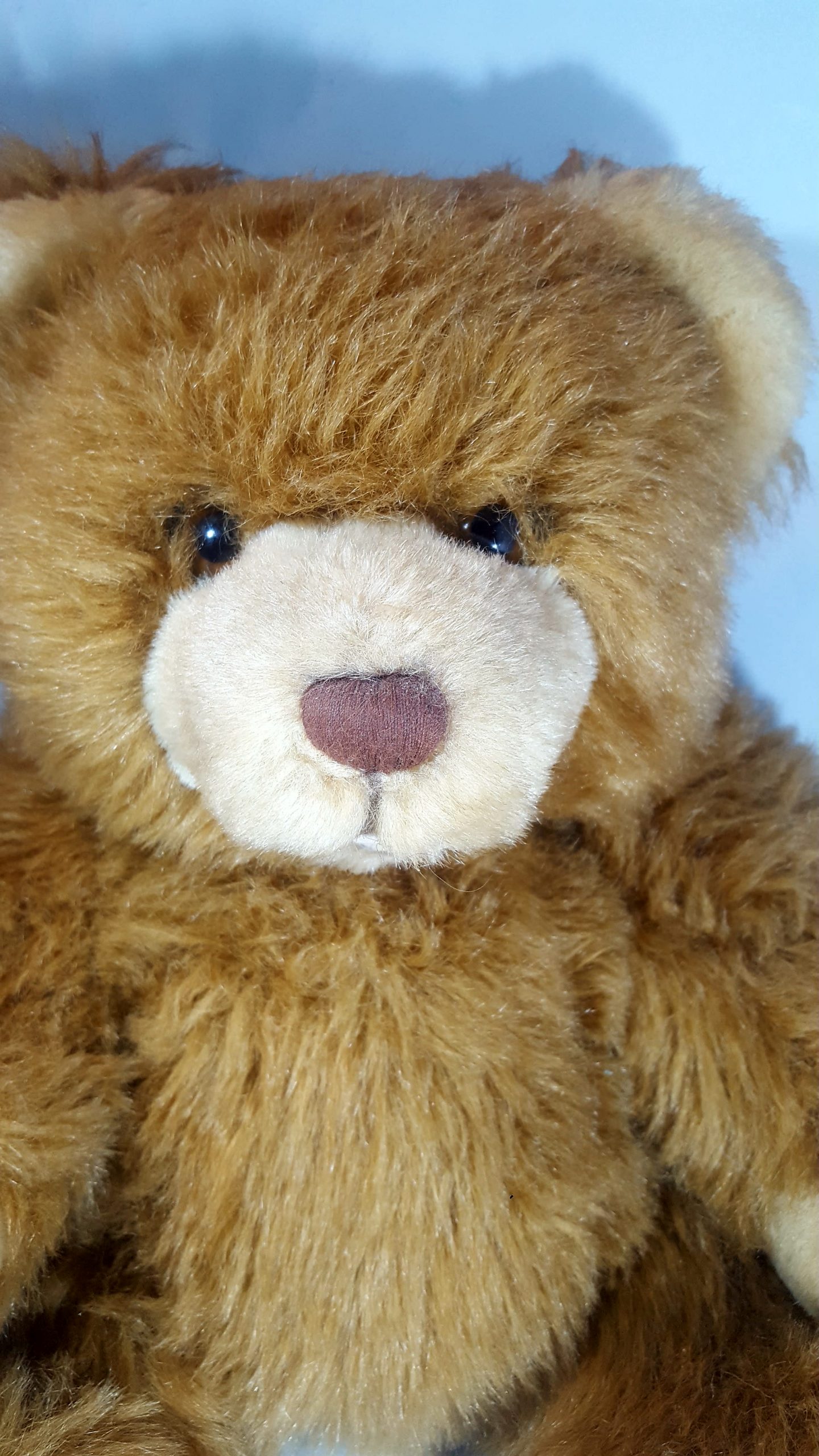 Antik Teddy Beer (8)