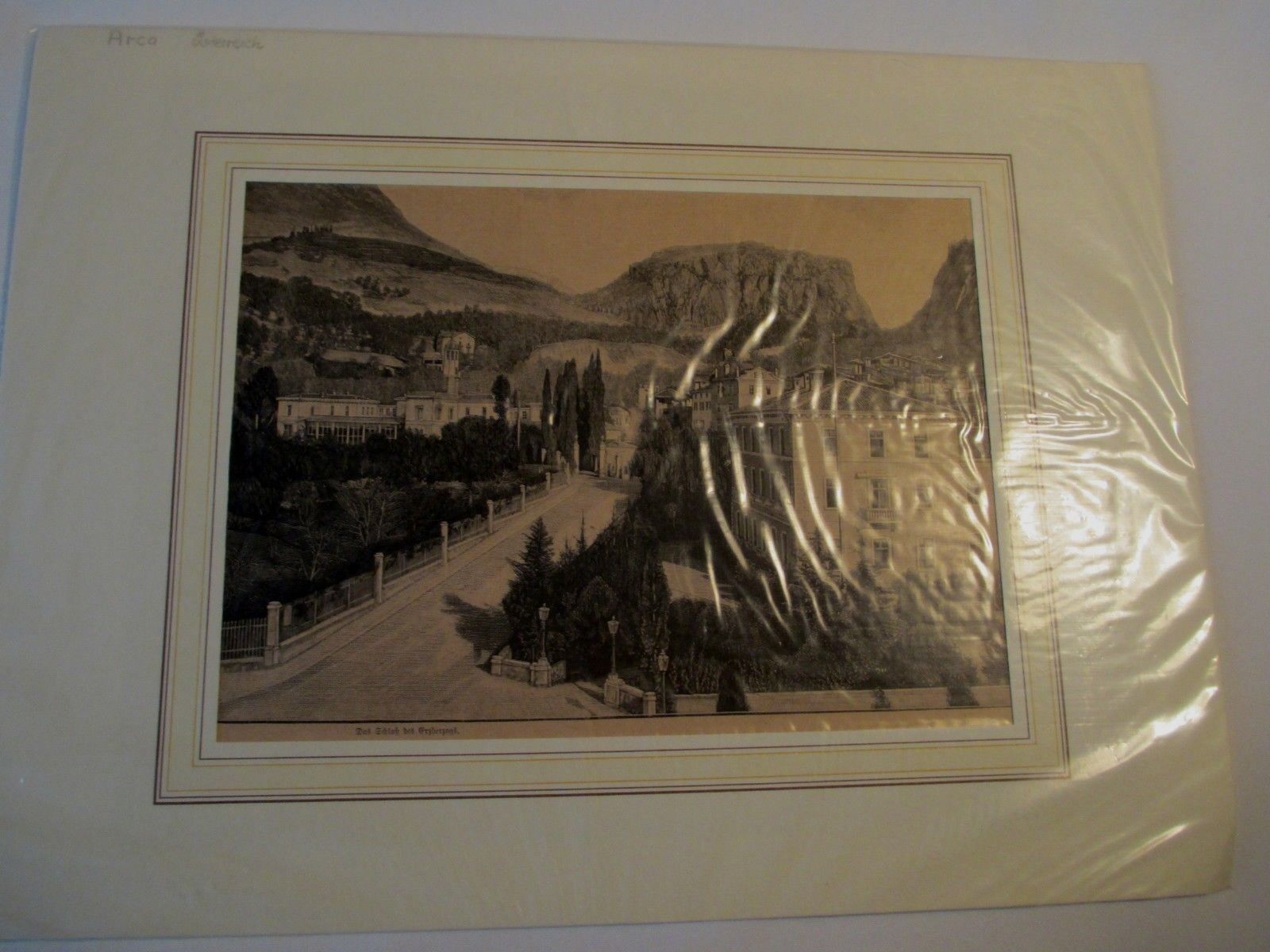 Lithographie Das Schloss des Erzherzogs um 1895 (3)