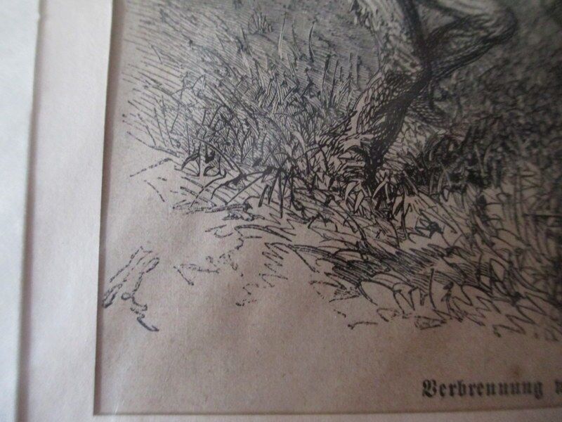 Lithographie um 1874 Verbrennung weißer gefangener durch Nordamerikanische (4)